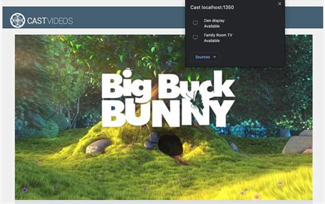 Image result for Tutorials On Cast Application