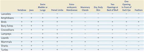Image result for Cladogram Character Table