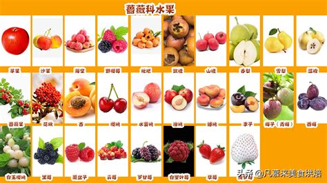 什么水果维生素C含量高？ - 知乎
