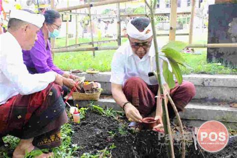 Image result for Setra BugBug