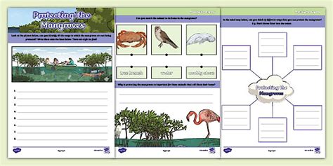 KS2 UAE Sustainability Activity Sheet