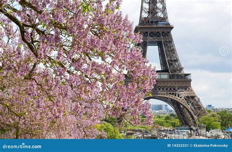 Spring In Paris Stock Image - Image: 14323331