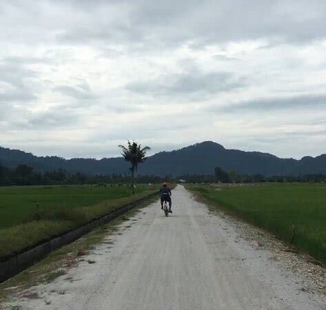 Cycling Balik Pulau - 2022 What to Know Before You Go (with Photos ...