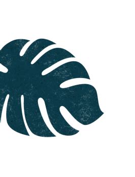 Coffee Sustainability Hub | Nescafé® IN