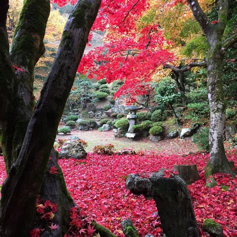 Tokugenin Temple, Maibara - Tripadvisor