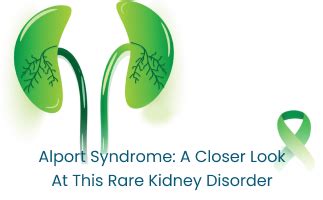 Best Urology Hospital in India for All Urinary Conditions