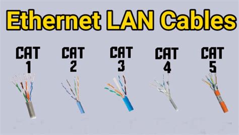 Image result for LAN Cable Types