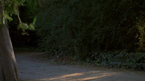 Image result for Mega Python vs. Gatoroid Trailer