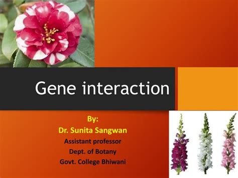 Image result for Complex Inheritance Pattern For
