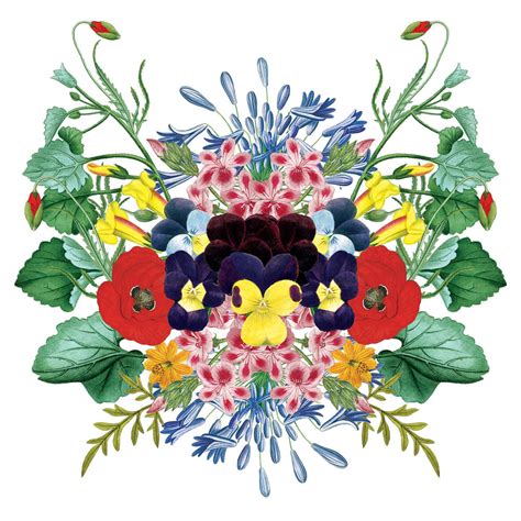 Green 的图像结果