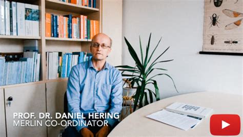 Image result for Merlin Project