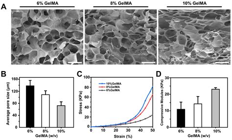 3D Bioprinting of an Endothelialized Liver Lobule-like Construct as a ...