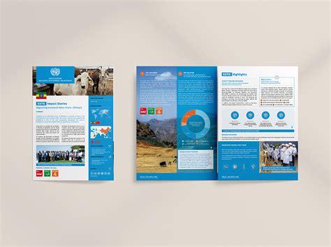 A Fact Brochure Example 的图像结果