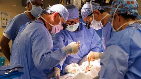 New Hampshire man successfully receives Pig kidney in groundbreaking ...