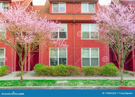 Front Entrance of Red Townhouse with Pink Cherry Blossom in Seattle ...