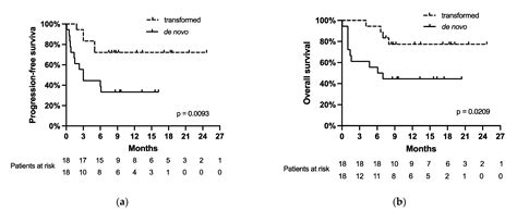 Transformed Lymphoma Is Associated with a Favorable Response to CAR-T ...