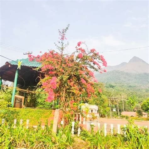 Dew Valley Homestay Chikmagalur - Resorts Chikmagalur