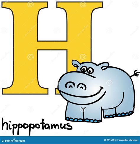 5 Letter Words Hippo - Truth or Fiction