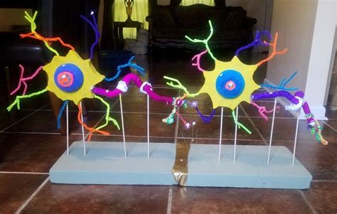 Image result for Neuron Project with Thread