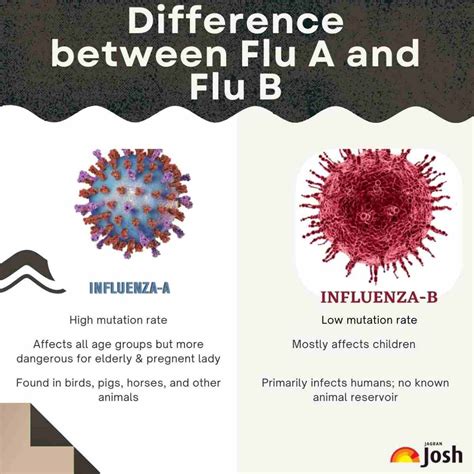 Flu A vs Flu B: Check Key Differences Between these Influenza Disease