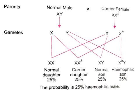 Haemophilia is a sex linked recessive disorder of humans. The pedigree ...