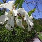 Image result for Assignment Operator Code JavaScript