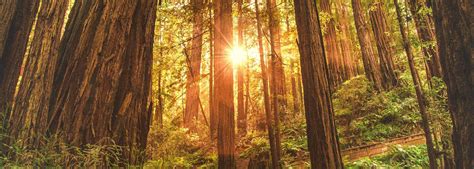 McAdams Mortuary | Paoli IN funeral home and cremation