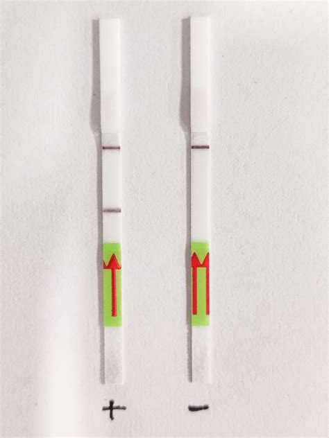 ICMR issues guidelines for Feluda test - Medically Speaking