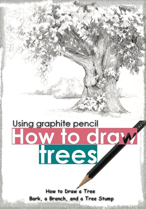 Buy How to draw typical tree using graphite pencils : How to Draw a ...