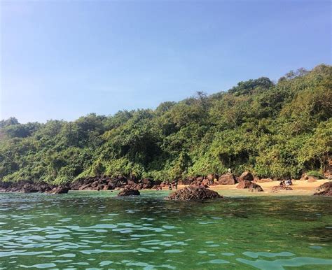 Spot Dolphins, Snorkel Away Or Spend A Night At The Lesser-Known Bat ...