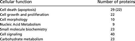 Image result for IPA Analysis Tutorial