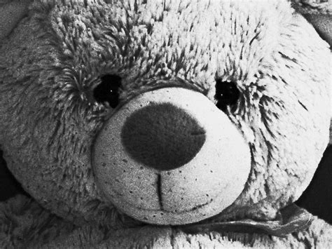 Image result for Image Scanner Vs Camera