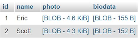 Use of Blob in MySQL Database 的图像结果