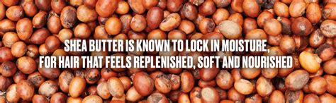 The Body Shop Vegan Shea Intense Repair Shampoo, 250 Ml - For Dry To ...