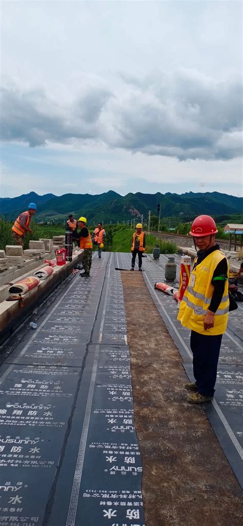 App Modified Bitumen 的图像结果