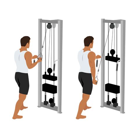 Man doing cable one arm reverse grip tricep pushdown exercise. 35805196 ...