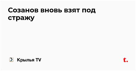 Созанов вновь взят под стражу — Teletype