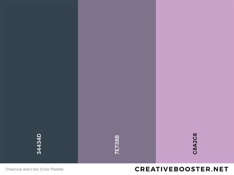 25+ Best Colors That Go With Lilac (Color Palettes) – CreativeBooster