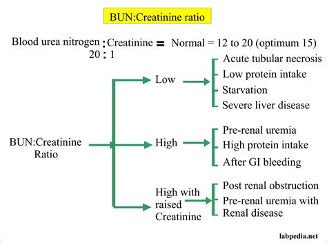 Urine Protein Creatinine Ratio In Acute Kidney Injury at John Bing blog