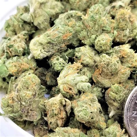 Image result for Alien OG Strain Info