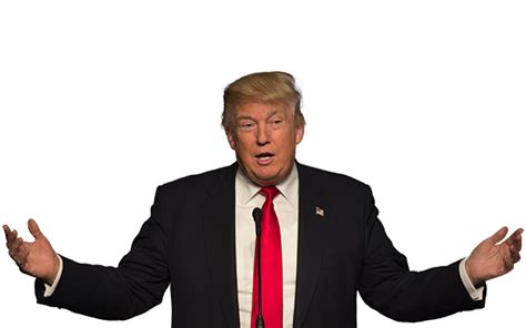 Donald Trump PNG Transparent Donald Trump.PNG Images. | PlusPNG