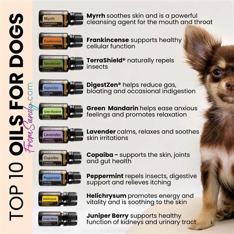 Doterra oils for dogs – Artofit