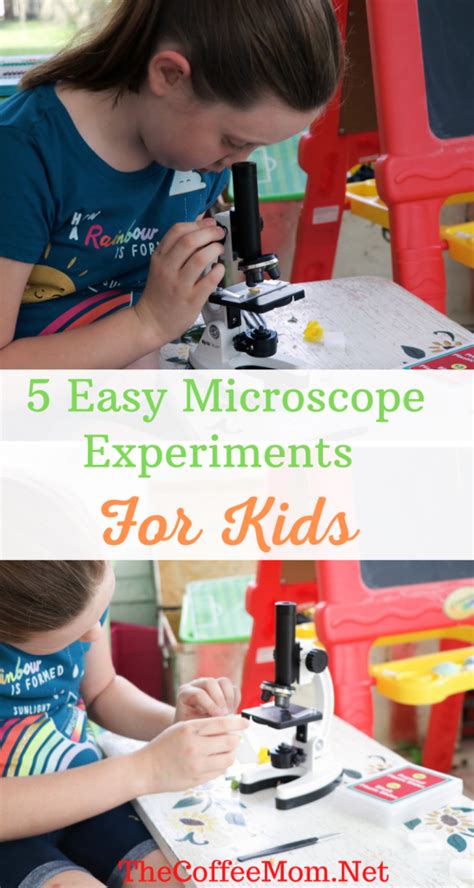 Image result for Microscope Experiments for Kids