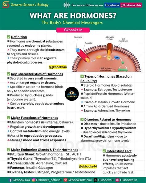 Image result for Ecological Pyramids Worksheet Answer Key