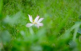 valorant weapon skin ranking-APK-IN V 2.7.7