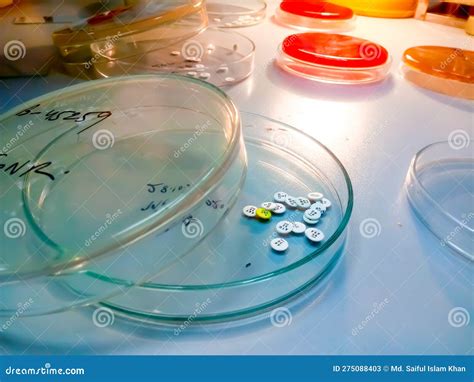 Antibiotic Disk is Ready for Diagnosis Antimicrobial Susceptibility ...
