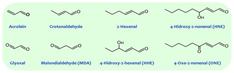 Non-Enzymatic Modification of Aminophospholipids by Carbonyl-Amine ...