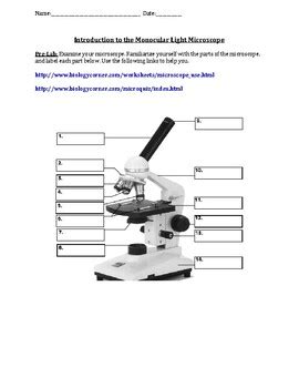 Image result for Introduction to Microscope Lab