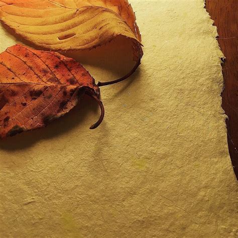 Image result for Handmade Paper Using Fiberglass