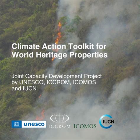 Suzanna Joy posted on LinkedIn